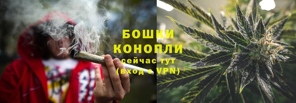 дживик Корсаков