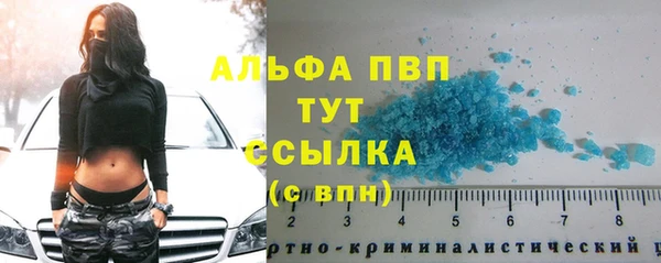 гашик Коряжма