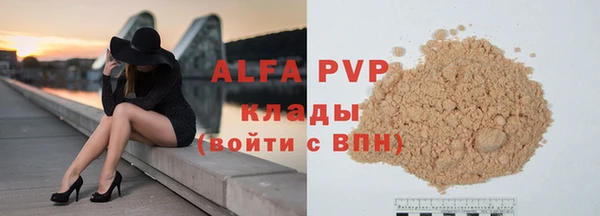 дживик Корсаков