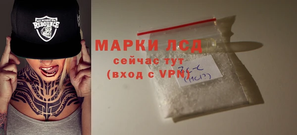 гашик Коряжма