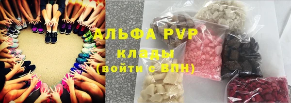гашик Коряжма
