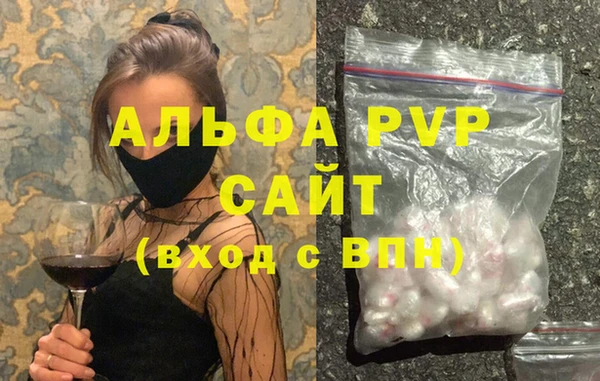 гашик Коряжма