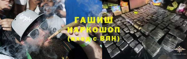 дживик Корсаков