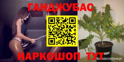 ГАЛЛЮЦИНОГЕННЫЕ ГРИБЫ Заволжье