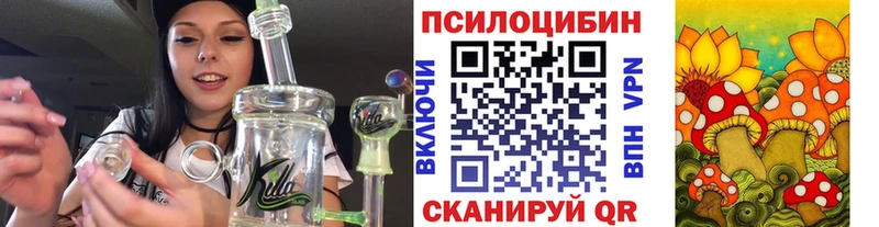 кракен как зайти  Москва  Псилоцибиновые грибы прущие грибы 