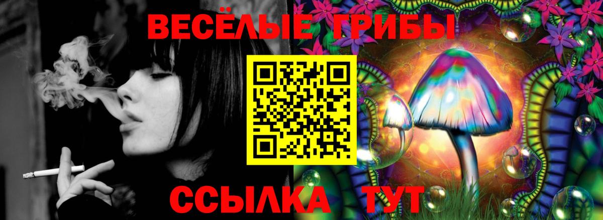 Псилоцибиновые грибы прущие грибы  Вход с VPN  Москва 
