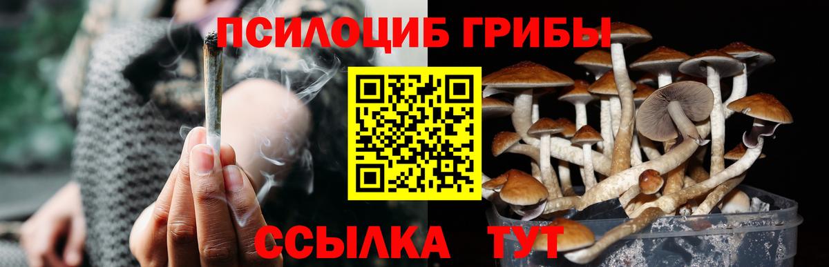 Галлюциногенные грибы мицелий Москва